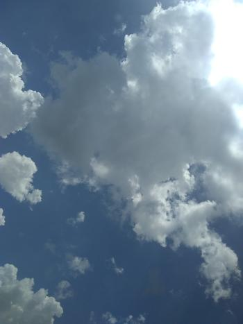 1530569564-5b3aa35c6ff9d91953fa7000-image.png