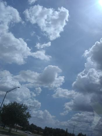 1530569628-5b3aa39c7901fe6ed810ac00-image.png
