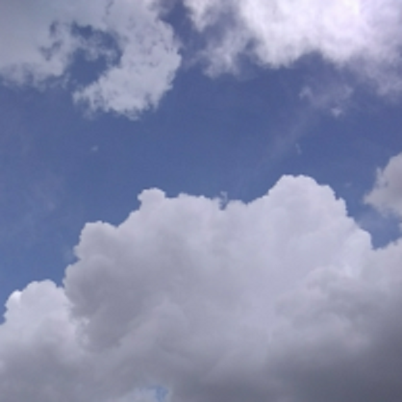 1530570769-5b3aa81164dd3b5cd0462000-ttrewrwerwetrterteeeret.png