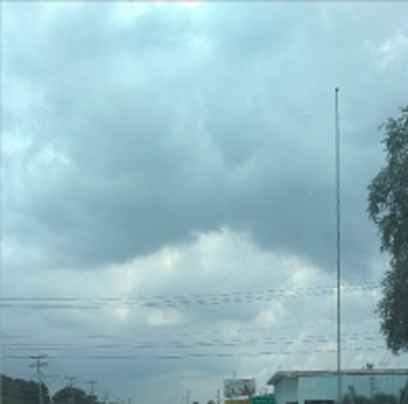 1530571736-5b3aabd83e10294570925000-ttrewrwerwetrterteeeretttewrwerwerwrwewerrewrwewerwer.png