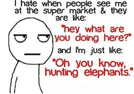 1545150045-5c191ac02e798b19c1633200-image.png