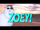 1545228792-5c1a5065446acda443a53c00-image.png
