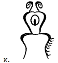 1549462804-5c5aed1458c829fd6b81ac00-creatureK.PNG